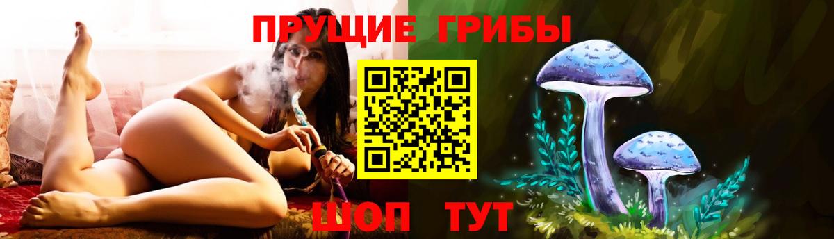 Псилоцибиновые грибы Psilocybine cubensis Среднеуральск